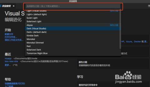 Visual Studio Code如何美化文件图标主题