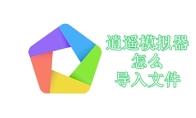 逍遥模拟器怎么导入文件