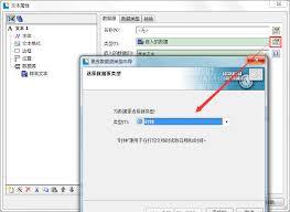 BarTender怎么设置日期为英文缩写格式