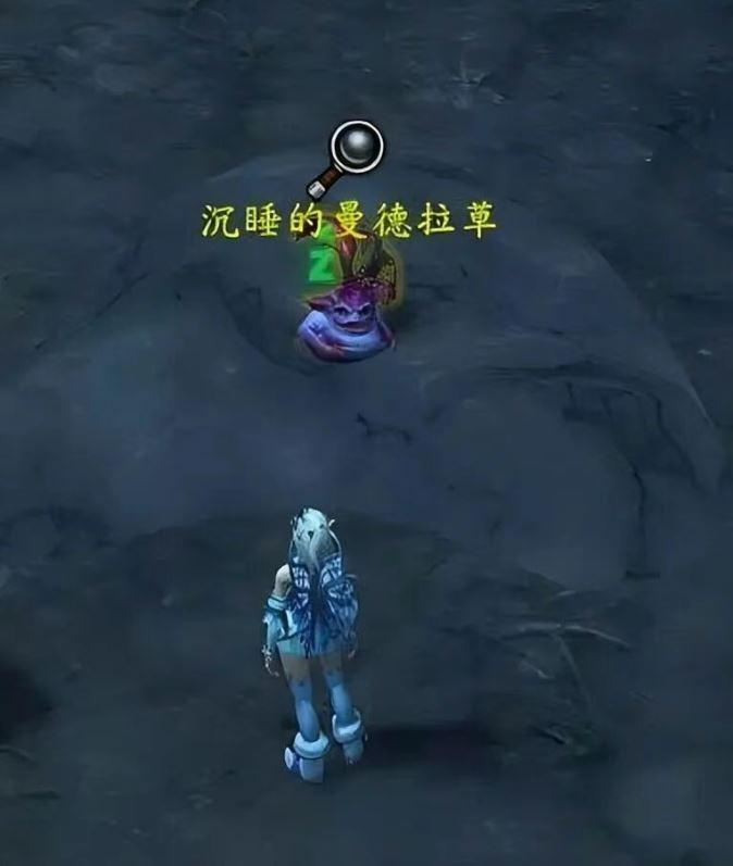 魔兽世界沉睡的曼德拉草宠物怎么获得