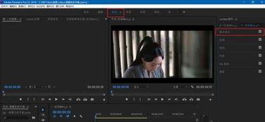 premiere如何去除颜色