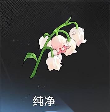 龙之剑觉醒 突破材料在哪里汇总